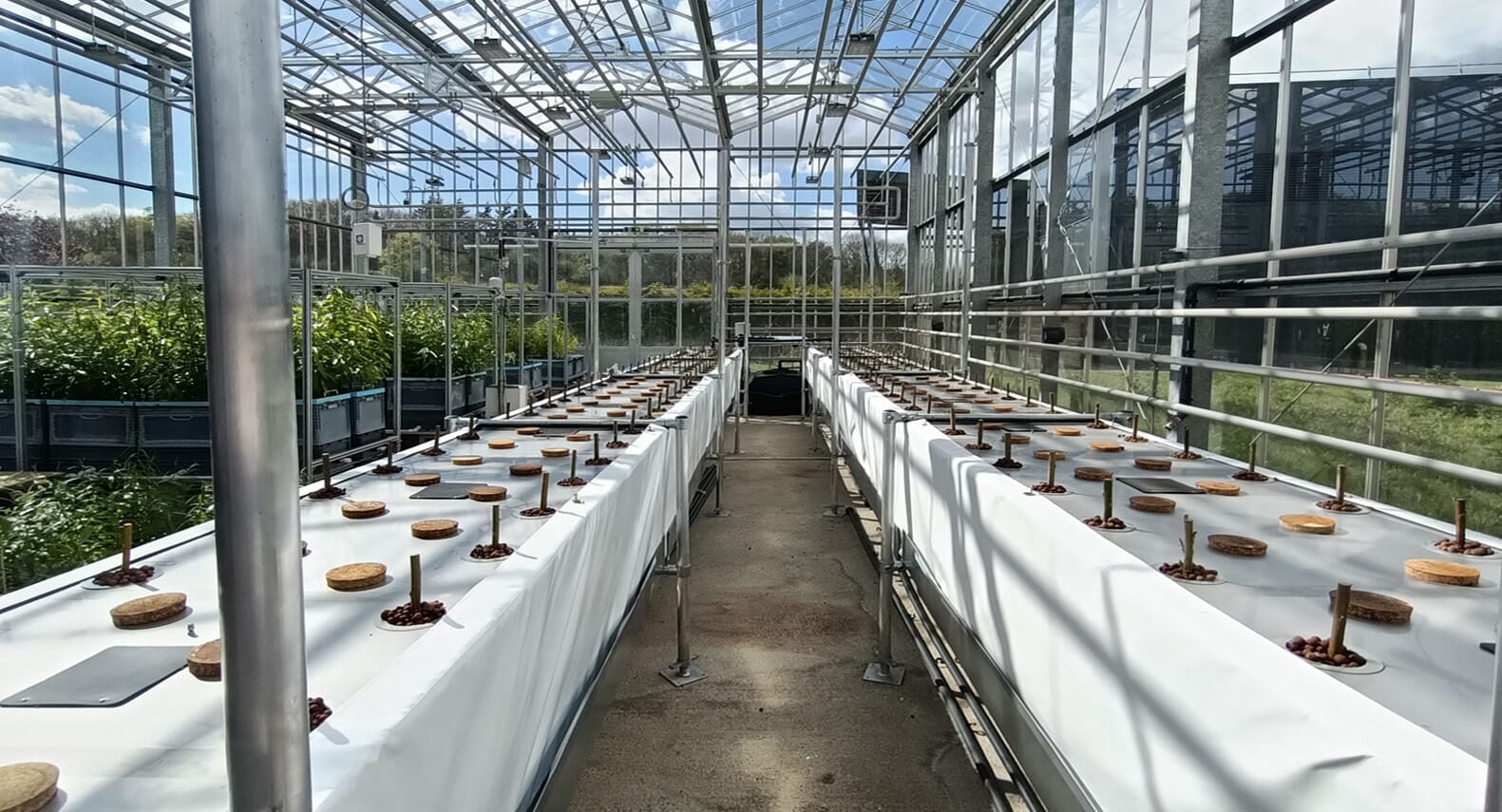 Agriculture-Gardening-Fabric-Banner